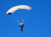 关于又见绝平！利雅得新月与上海申花鏖战至终场，爱德华兹读秒救主的信息