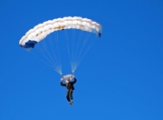 关于又见绝平！利雅得新月与上海申花鏖战至终场，爱德华兹读秒救主的信息