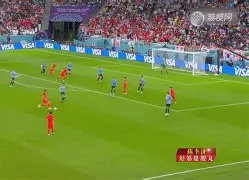 关于维特斯绝杀权健，客场抢分积分排名大幅提升的信息